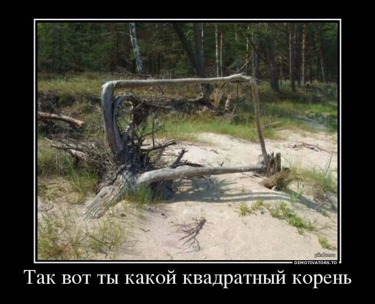 80237345_tak-vot-tyi-kakoj-kvadratnyij-koren.webp