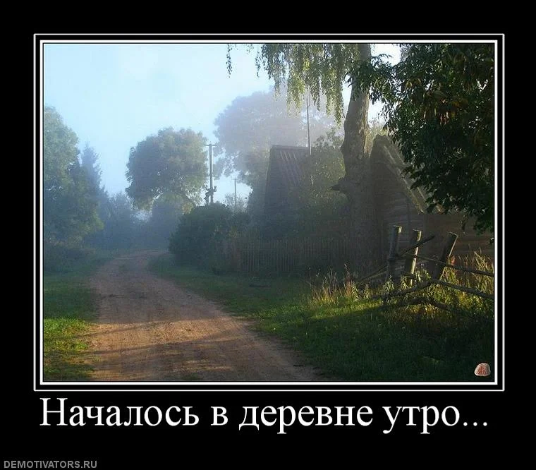 817810_nachalos-v-derevne-utro.webp