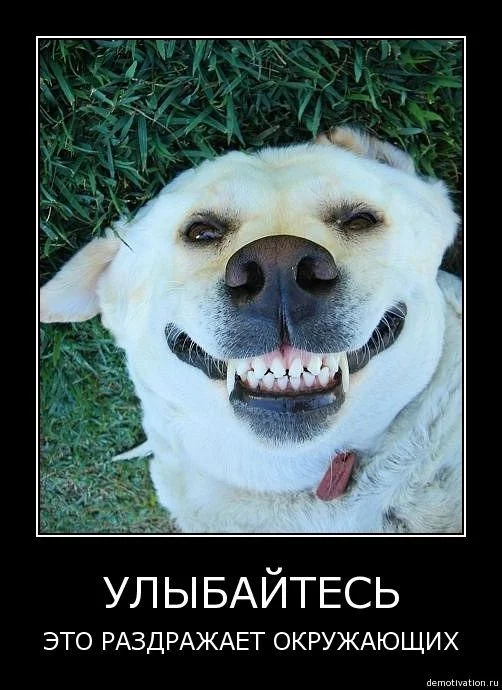 81784029.webp