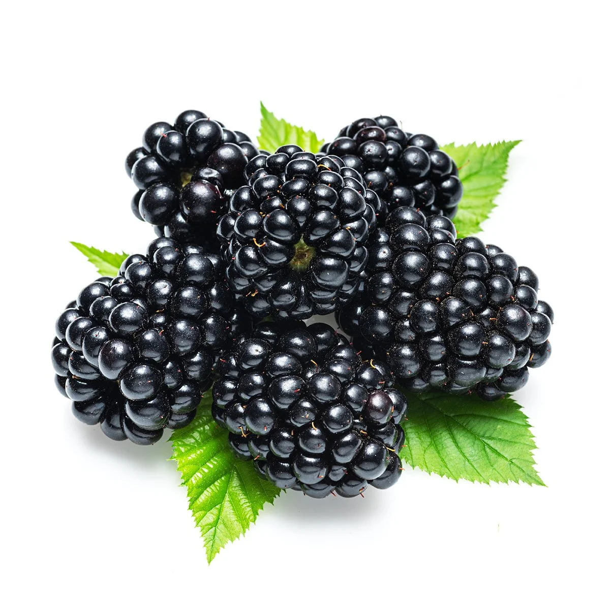 81872_ooWhc.webp