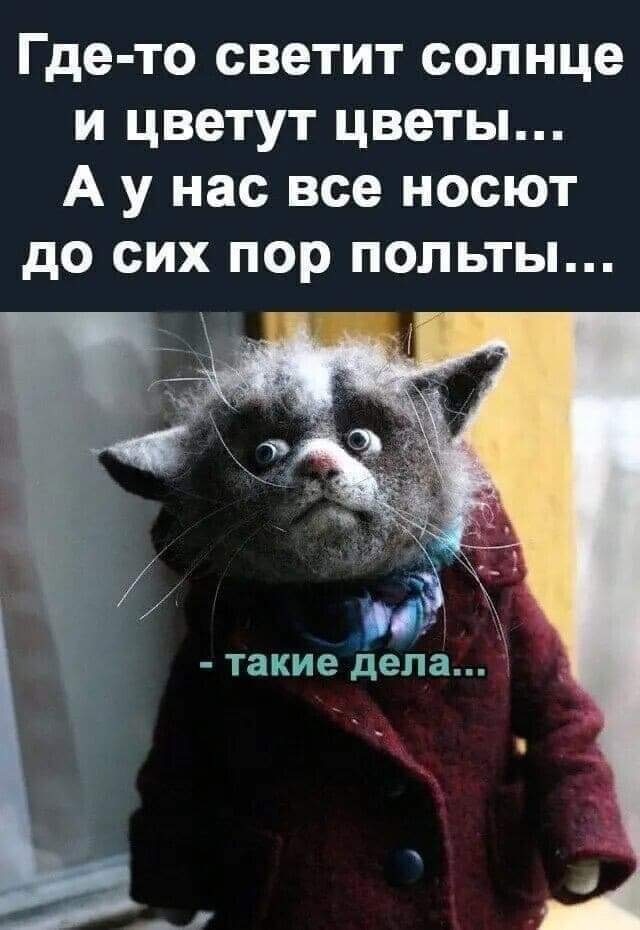 81D142EB-DB39-4E42-8D8C-7C0627DC9074.jpeg