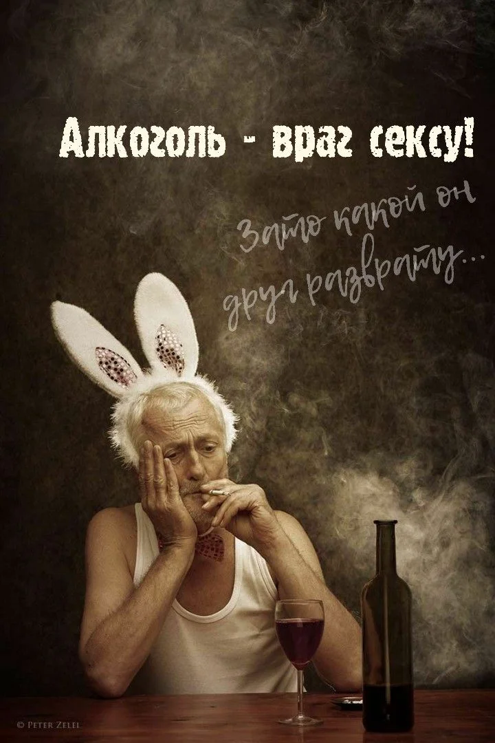 81d708d3203f85609976d700ee3017a3.webp