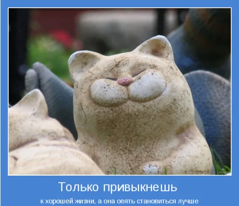 82222.webp