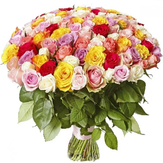 822ff8dd6f512c891d843d6dc7033fe4.webp