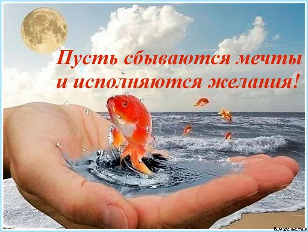 8233242.webp