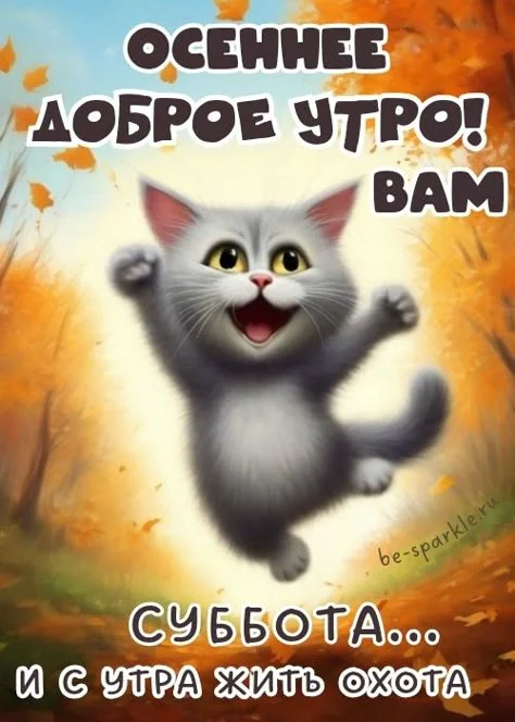 82cd5018324e543bed41da6838fa56c4.webp
