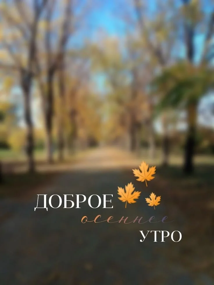 82f2b3714cdc1218f80267a2d845c5b3.webp