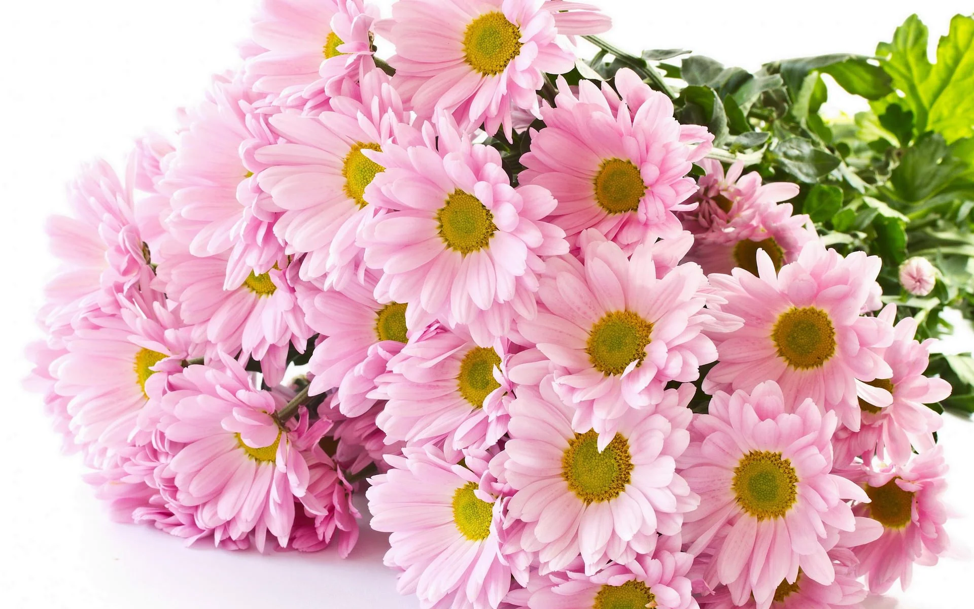 83-img-3.webp