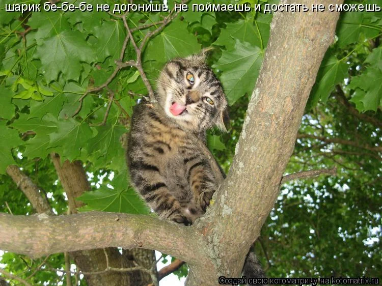 831070.webp