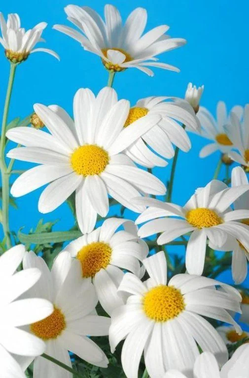 834231003.webp