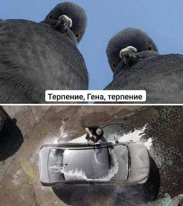 83687dab3244c2be46ccd2f9168bcad6.webp