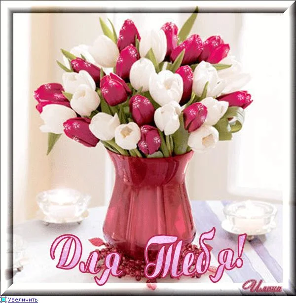 839fd3bf6d0bt.webp