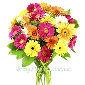 84046355_46_48d81be4aef11.webp