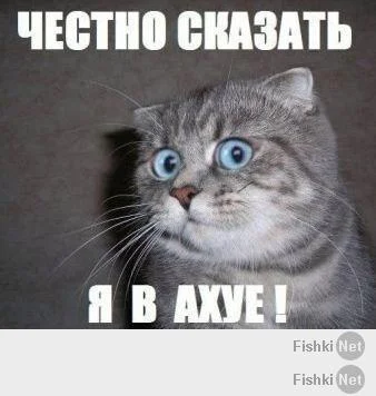 840d24593797ac054e653da5d8ecff2f.webp