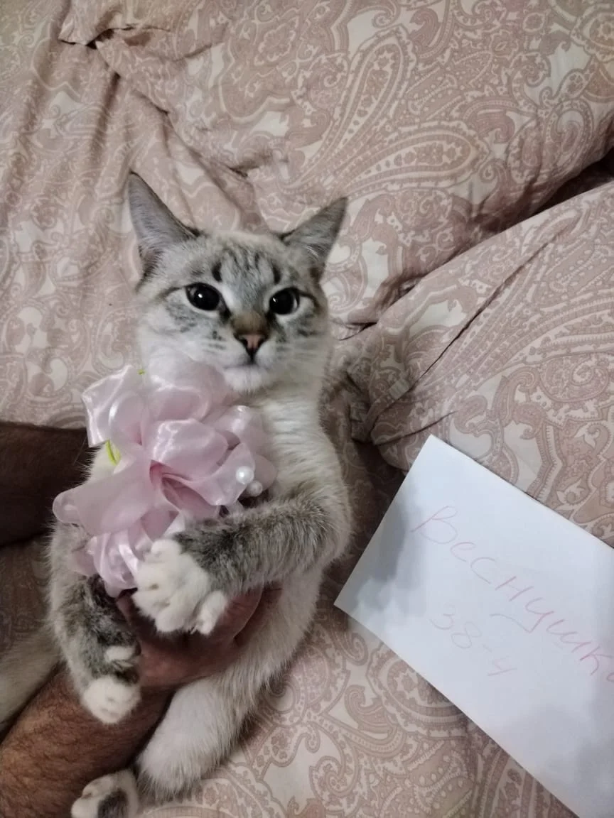 841080B6-7AEA-4CEF-8B61-BFB3A72D491C (1).webp