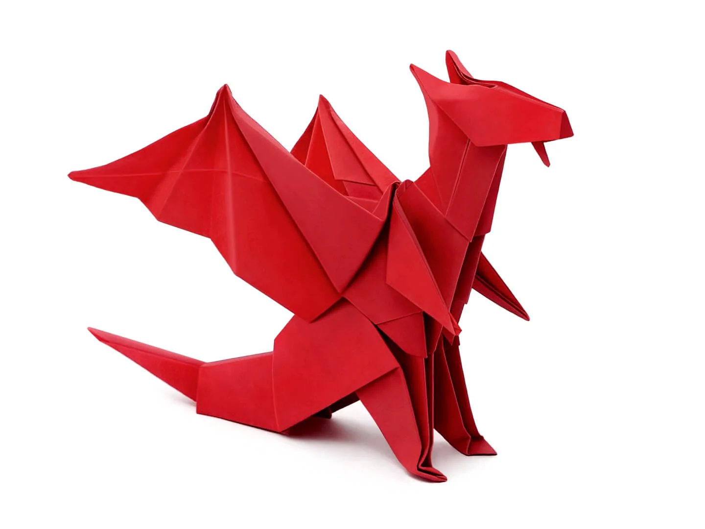 8428-muzey-origami-5568.webp