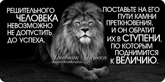 843deb40131407ad12b1bc7192e2dadd.webp