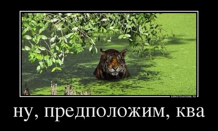 84523536_nu-predpolozhim-kva.webp