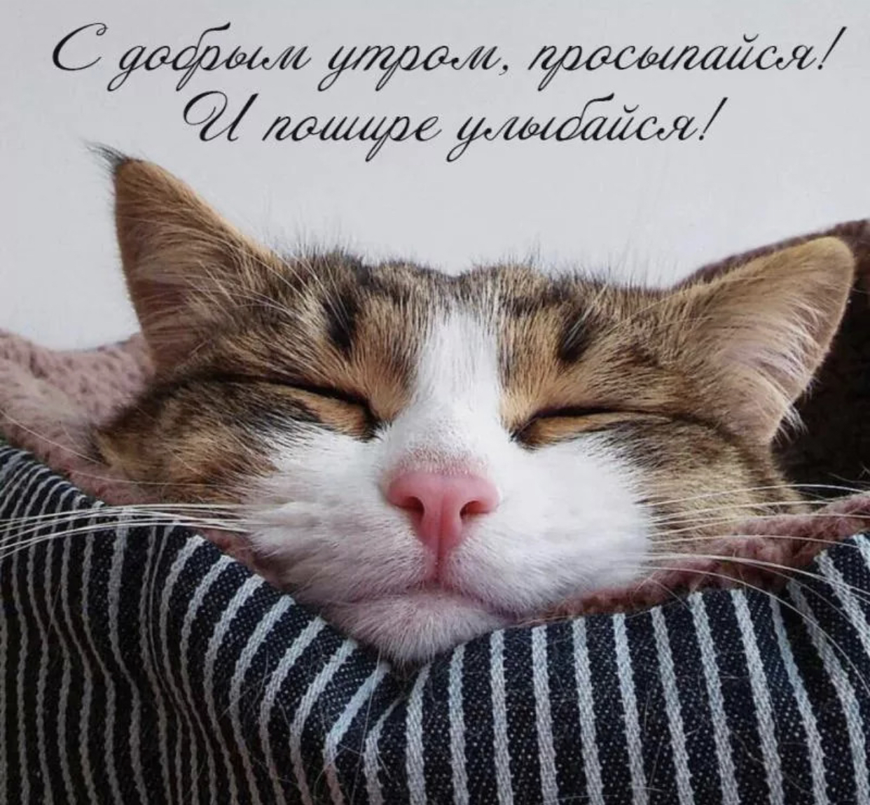 845CD926-63D9-4999-9F34-FF8ABF271F65.jpeg