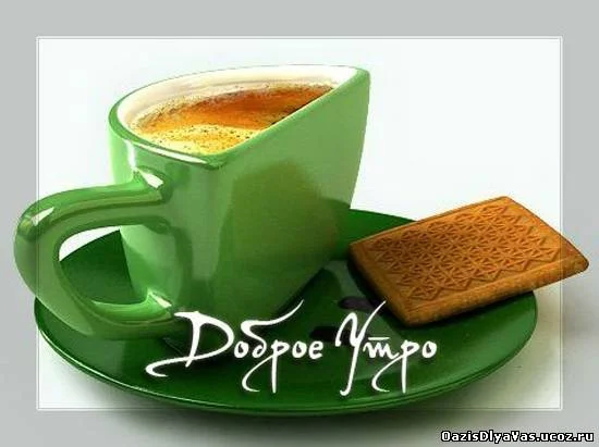 849120212.webp
