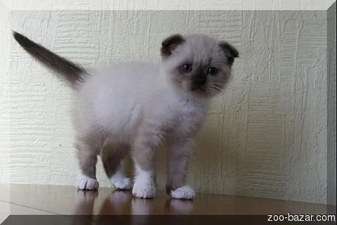 8493b96e7c6d28390b2ffe23910bfd14 (1).webp