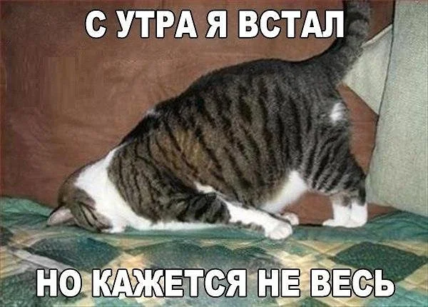 8500937.webp