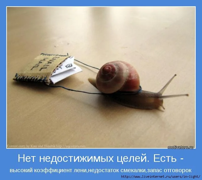 85572245_motivator_pozitiv_mudrost_7.webp