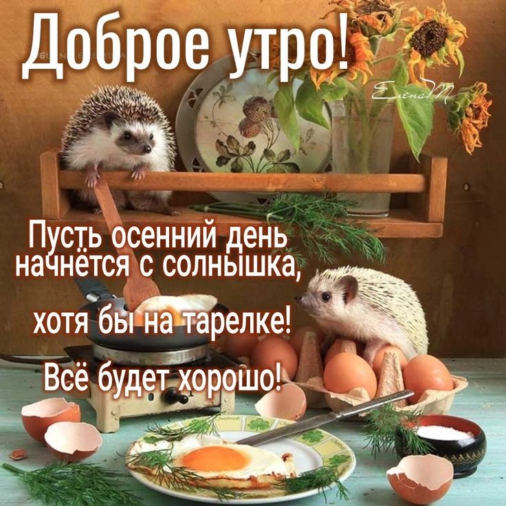 85f121a1a353784c98f8df10c4ca2860.jpg