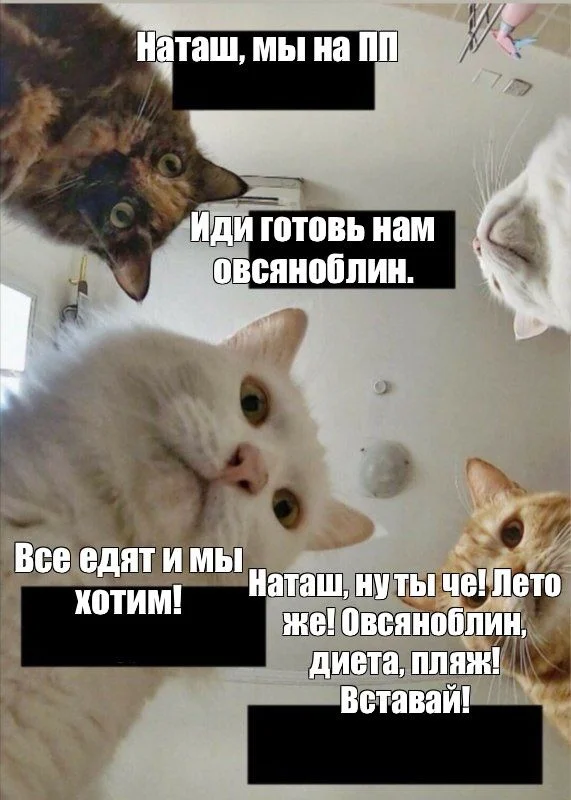 865dcecfb4e48913a12abeba456493df.webp