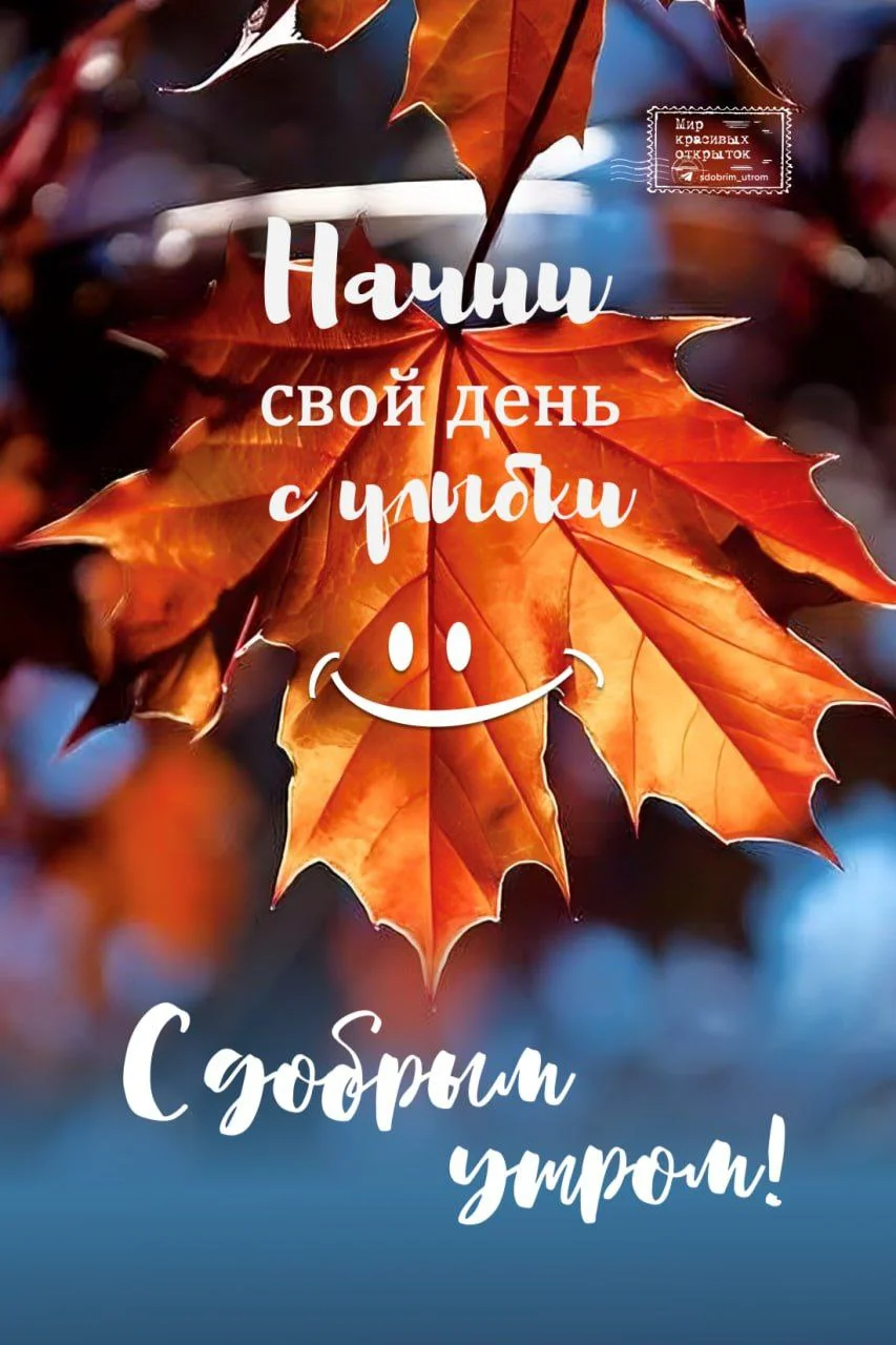 8662f01f08bd721e5e5e5073a9d7f0b2_o.webp