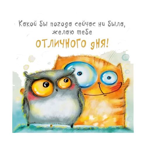 86843fef75dd0ee43fb6a8b977430a3d.jpg