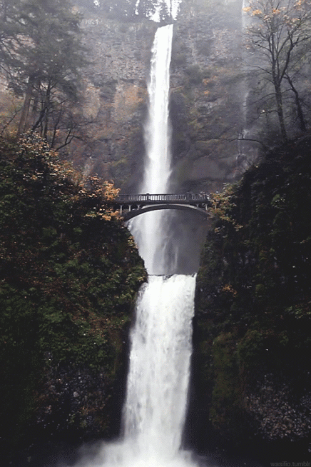 86c3e124c4f2688969d3574174da5fce.gif