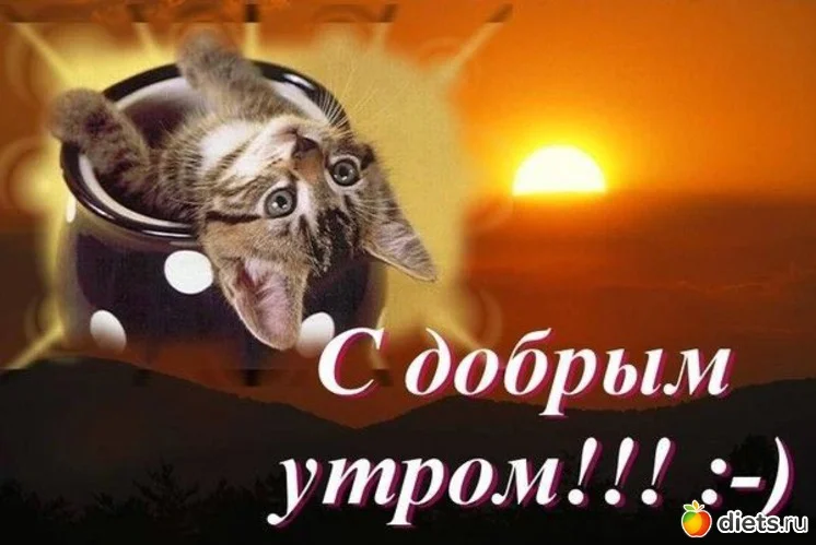 86e3d12dc631a55659e5e5210a93a3c9.webp