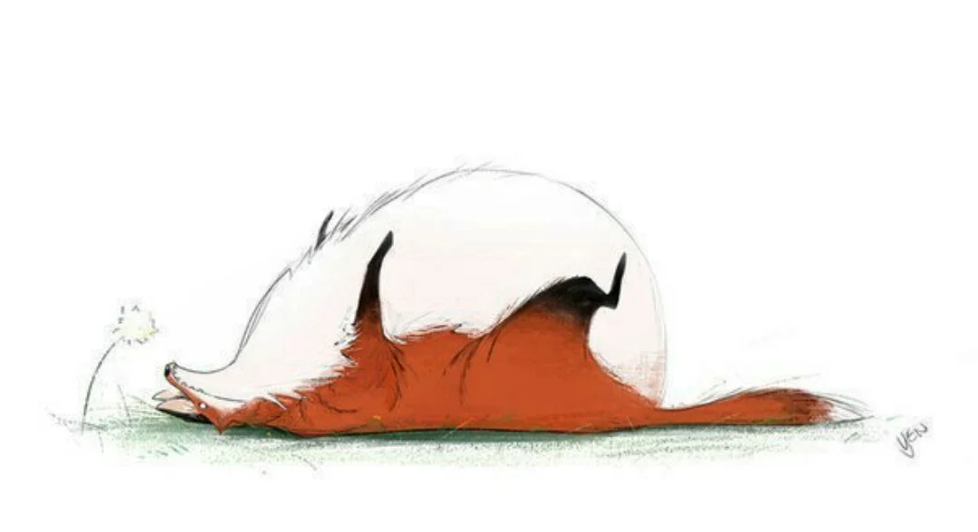 86ogUTP0RZ0 (1).webp