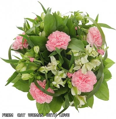 8732397bc4dc.webp