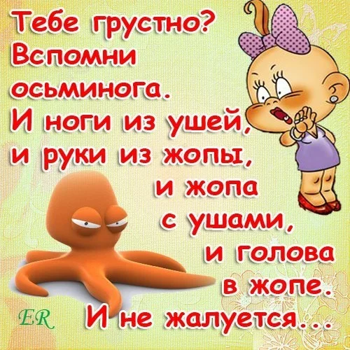 875a8375f91de049494d6073098e8a2f_deda2b81d72d08f329fd35a310dc7470.webp
