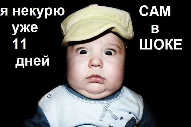 8798031.webp