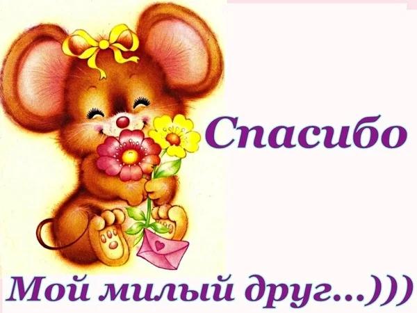 87a0a9c92960741040adc42f8cec712f_i-4869.webp