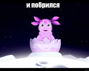 88660c52a081b1e630420dedfdec9282 (1).webp