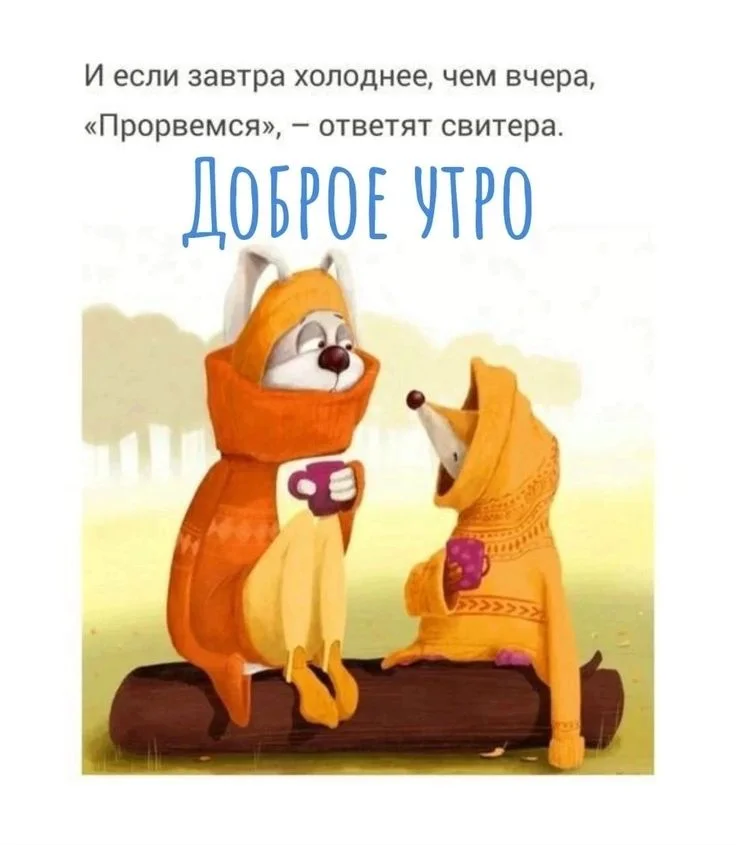 886c6d9088a36e6d4e11088c7cb2b494.webp