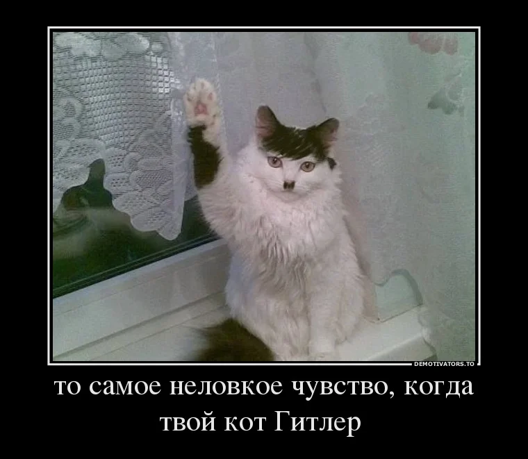 8873981_to-samoe-nelovkoe-chuvstvo-kogda-tvoj-kot-gitler-.webp
