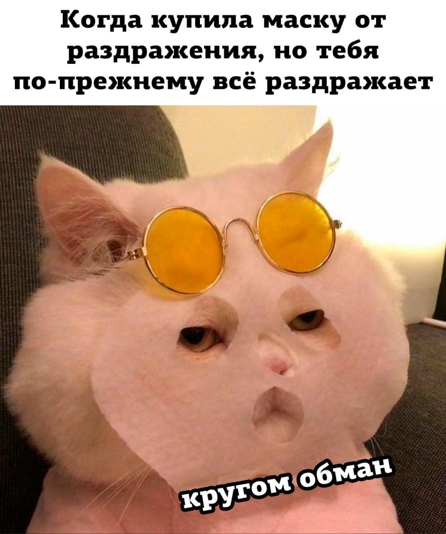 88E8B420-6960-40D1-8519-72BA233C0B12.jpeg