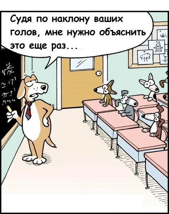 8aefe70a4b7c526d4f95fc91588c5bcf (1).webp