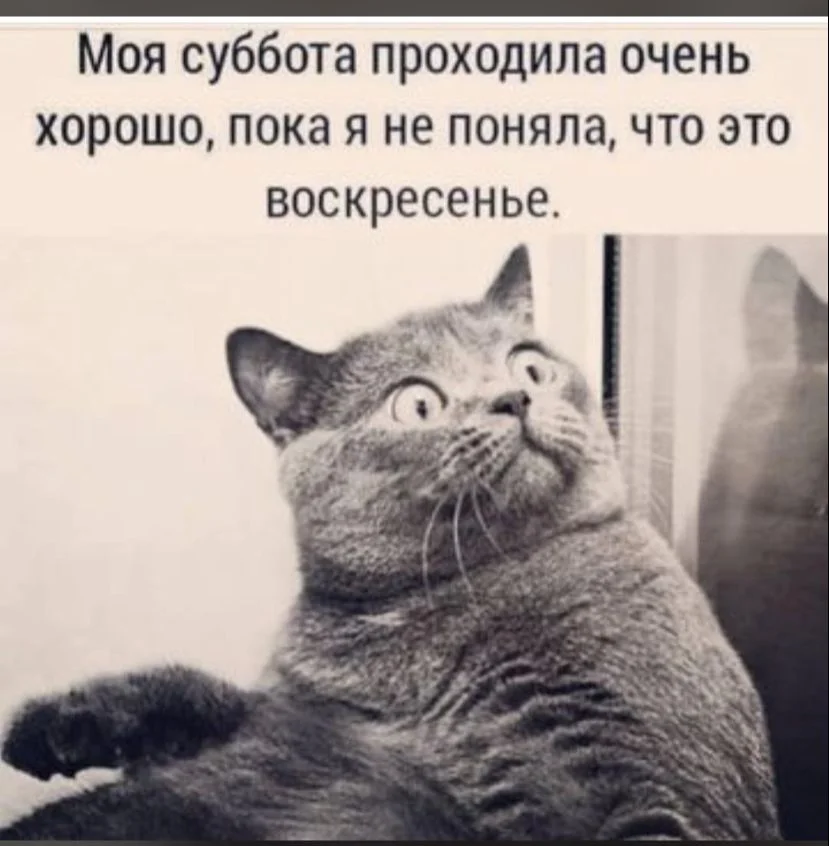 8b27ca3935bbb4cb62609340060b9bd9[1].webp