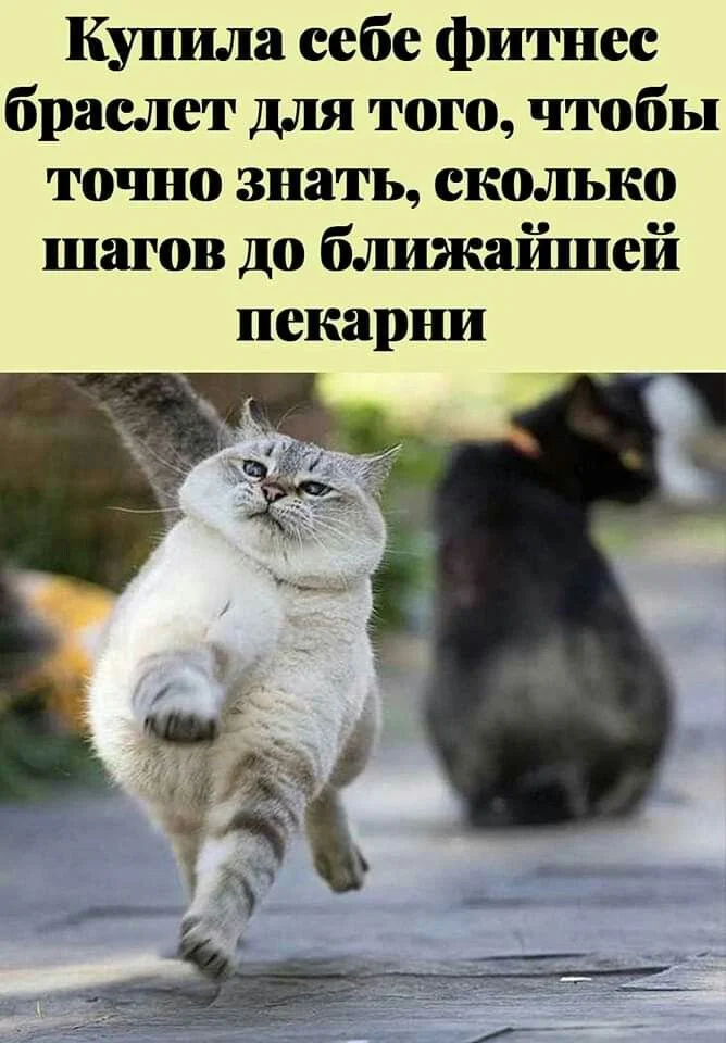 8c015aad83c0e7fb6ec0c081ce57aee9[1].webp