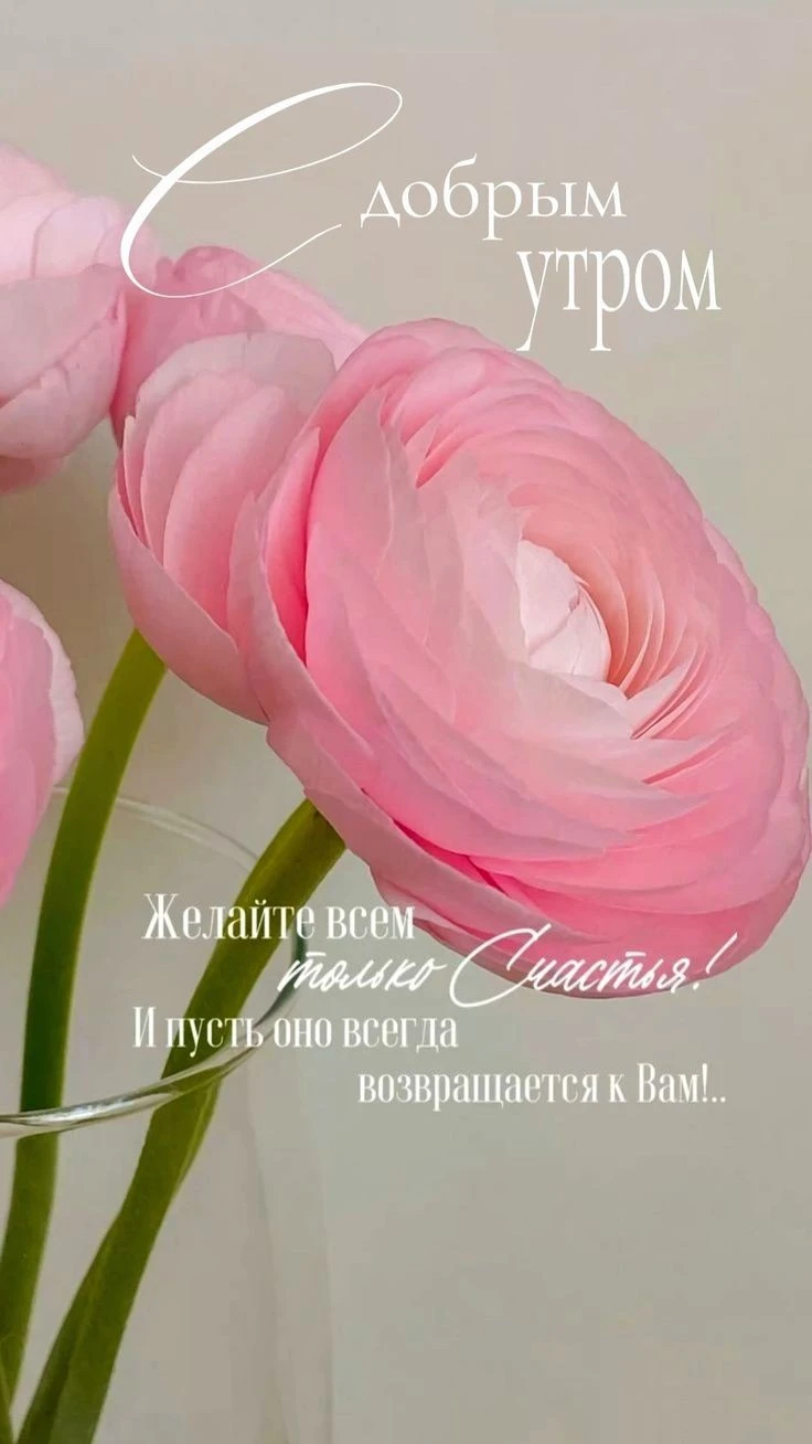 8c2457d27d07c573cbe33fae4fa223c8.webp