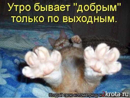 8d30d9cb0f1463bd029a03351e6ead7b_i-591.webp