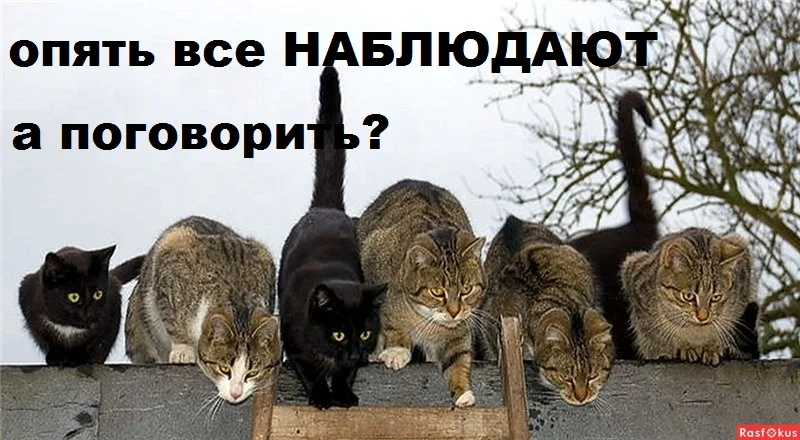 8d44360187c0 (1).webp