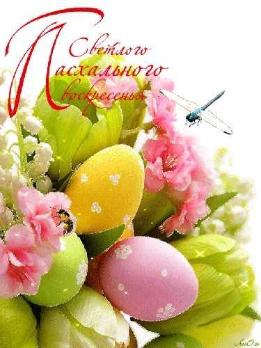 8D99CCA7-24DA-49B0-BCC8-A3E55F7AE77D.jpeg