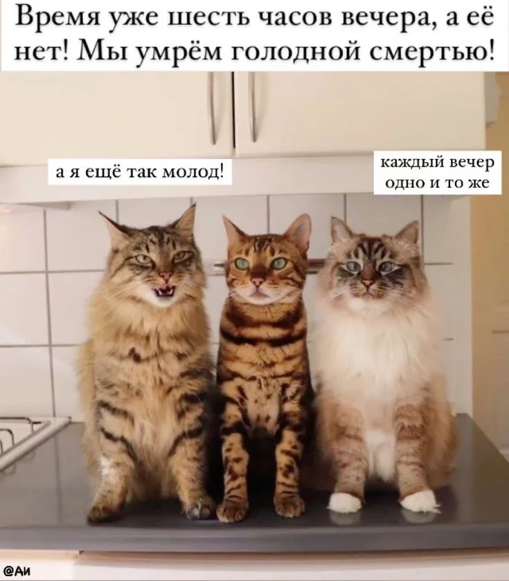 8dc65415592b8dd582f854cd5b36f1b9[1].webp